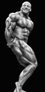 MamdouhElssbiay-MD-Sep13-PerBernal-047.jpg