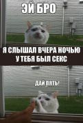 для жекиt4.jpg