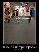 415429_dazhe-on-na-trenirovke_demotivators_ru.jpg