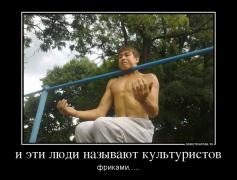 532034_i-eti-lyudi-nazyivayut-kulturistov_demotivators_ru.jpg