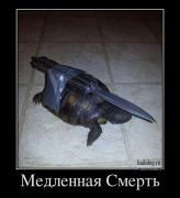 1375159235_045.jpg