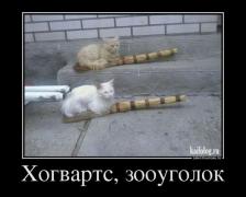 1374654013_011.jpg