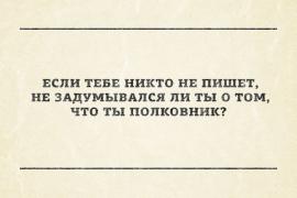 3781165.jpg