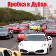 kartinok-porciya-kartinki-smeshnye-kartinki-fotoprikoly_9418139738.jpg