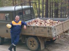 yumora-nemnogo-kartinki-smeshnye-kartinki-fotoprikoly_47381006949.jpg