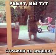 SbpalVO6iJc.jpg