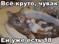 0_103493_b9f7c8ab_orig.jpg