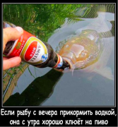 Снимок экрана 2014-08-01 в 18.59.23.png