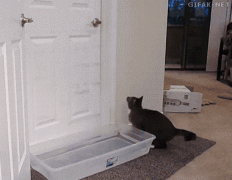 289181_739444.jpg.gif