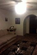 288099_730837.jpg.gif