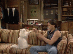 289181_739462.jpg.gif