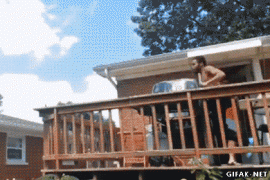 288396_733809.jpg.gif