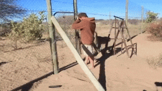 1408994380_82jljrsh.gif
