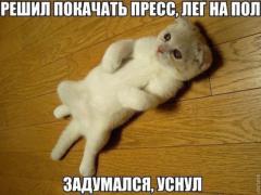 288084_730752.jpg