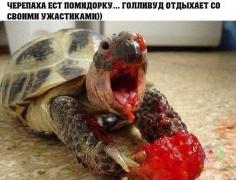 MvzrPydWjKI.jpg
