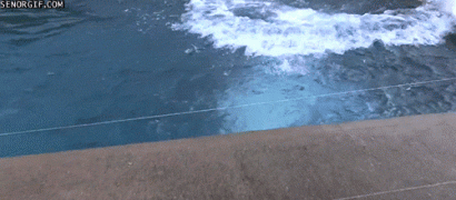 bears-like-man-021.gif