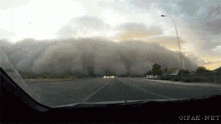 1408819371_289616_742530.jpg.gif