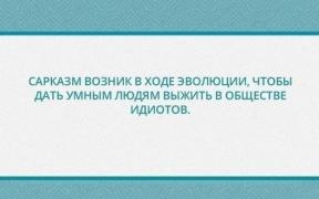 289427_740931.jpg