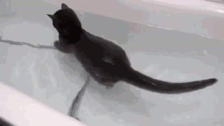 1408782806_8t1j15ox.gif