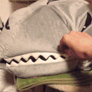 1408819311_289616_742521.jpg.gif