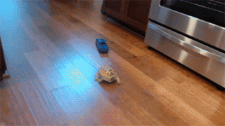 289430_740980.jpg.gif