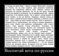 1408819137_97b530a10cd95f40baa034910889b231.jpg