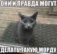 fEAv3ffN6PU.jpg