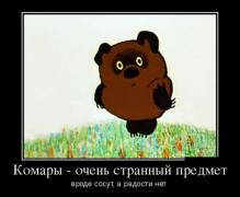 289739_743046.jpg