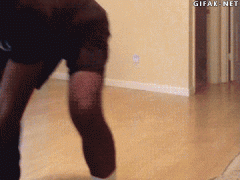 288068_730461.jpg.gif