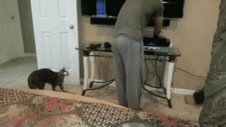 1408713581_0rzfhgw1.gif