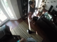 289741.gif