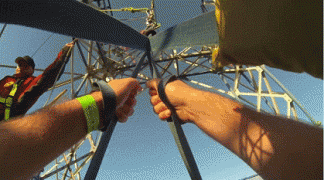288115_731030.jpg.gif