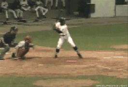 289421_740846.jpg.gif