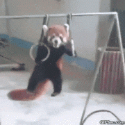 1408819376_289616_742525.jpg.gif