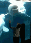 289579_742068.jpg.gif