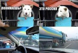 YKOYqRvfrBM.jpg