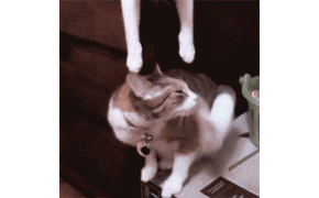 1409357783_116065881_doc150531862_291388549.gif