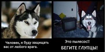 tOUlzKLdomM.jpg