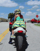 288391_733679.jpg.gif