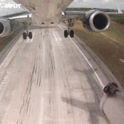 1409375510_dd79c964405d96f3984ba9ac5e2.gif