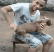 1409287557_3zmq6vob.gif