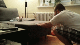 289579_742076.jpg.gif