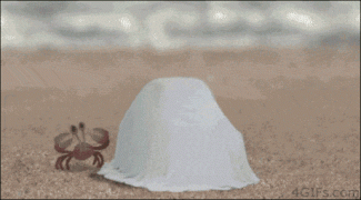 1408994481_1408624908-cfbb6d8037ae7d990616ea1b8340f59c.gif