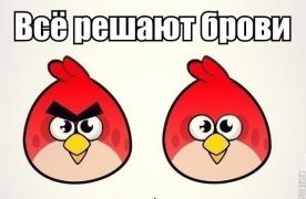 FCnuIQ51veo.jpg