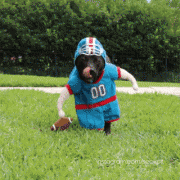 1408446353_289240_739984.jpg.gif