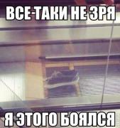 289425_740890.jpg