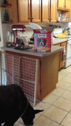 gif-29082014-008.gif
