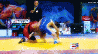 289421_740849.jpg.gif