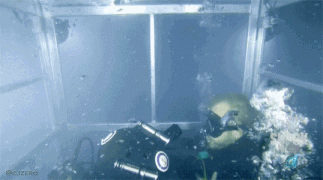 1407404955_1960331482.gif