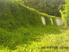 IMG01519.jpg